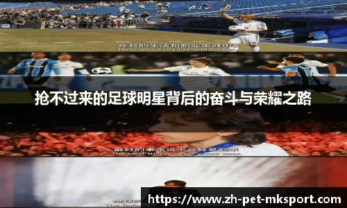 抢不过来的足球明星背后的奋斗与荣耀之路